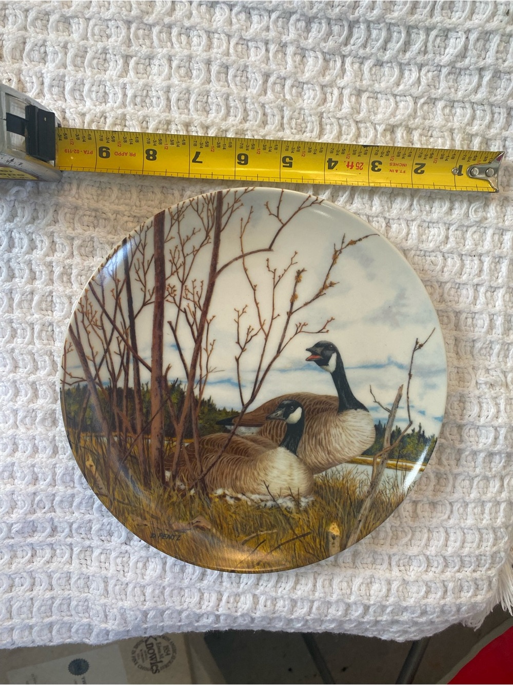6pc Birds of Your Garden plates - Picture 4 of 4